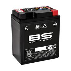 300890 btz8v