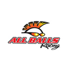 All Balls Racing
