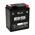 300890 btz8v
